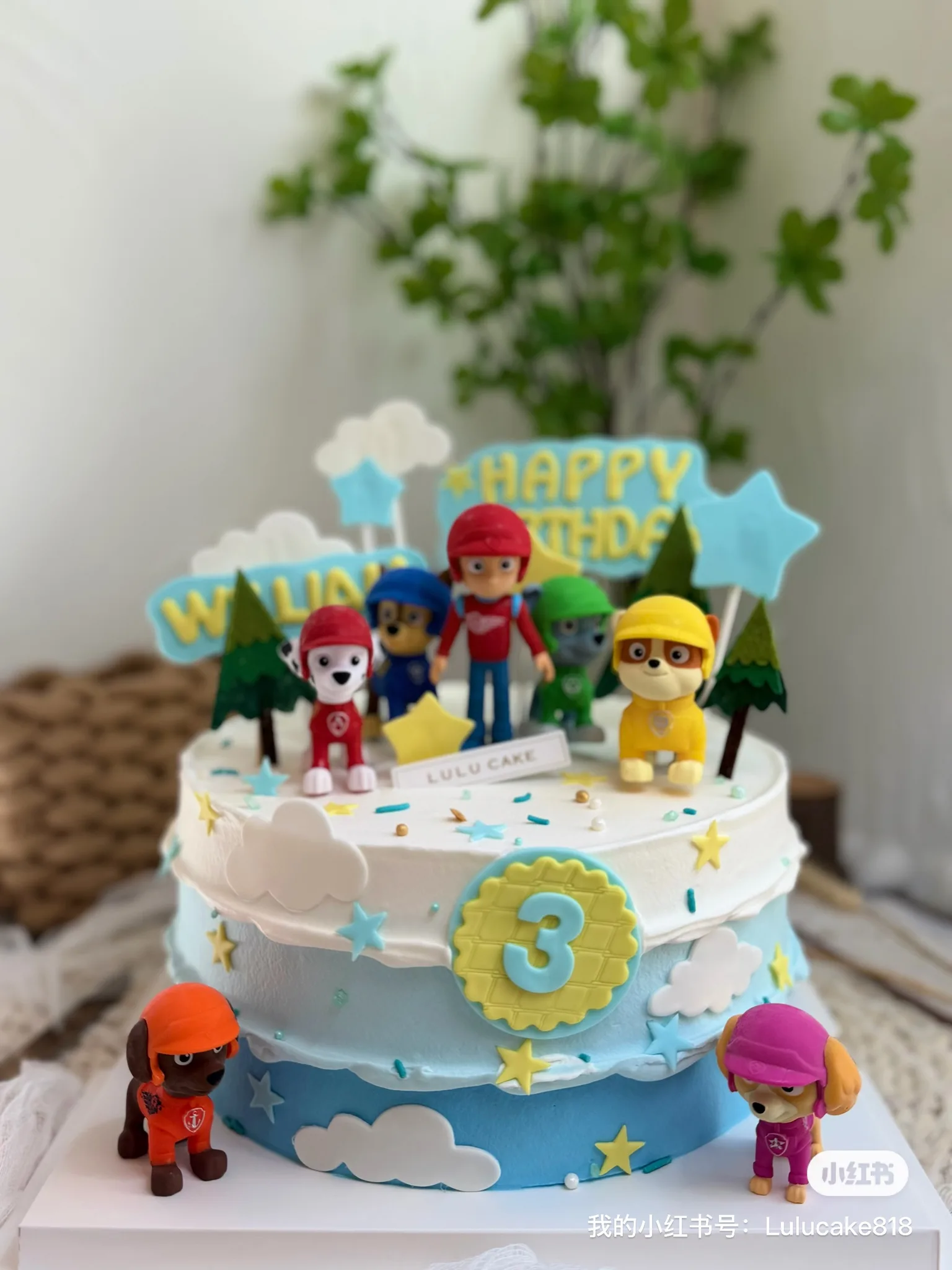 Cake product photo 258a0585