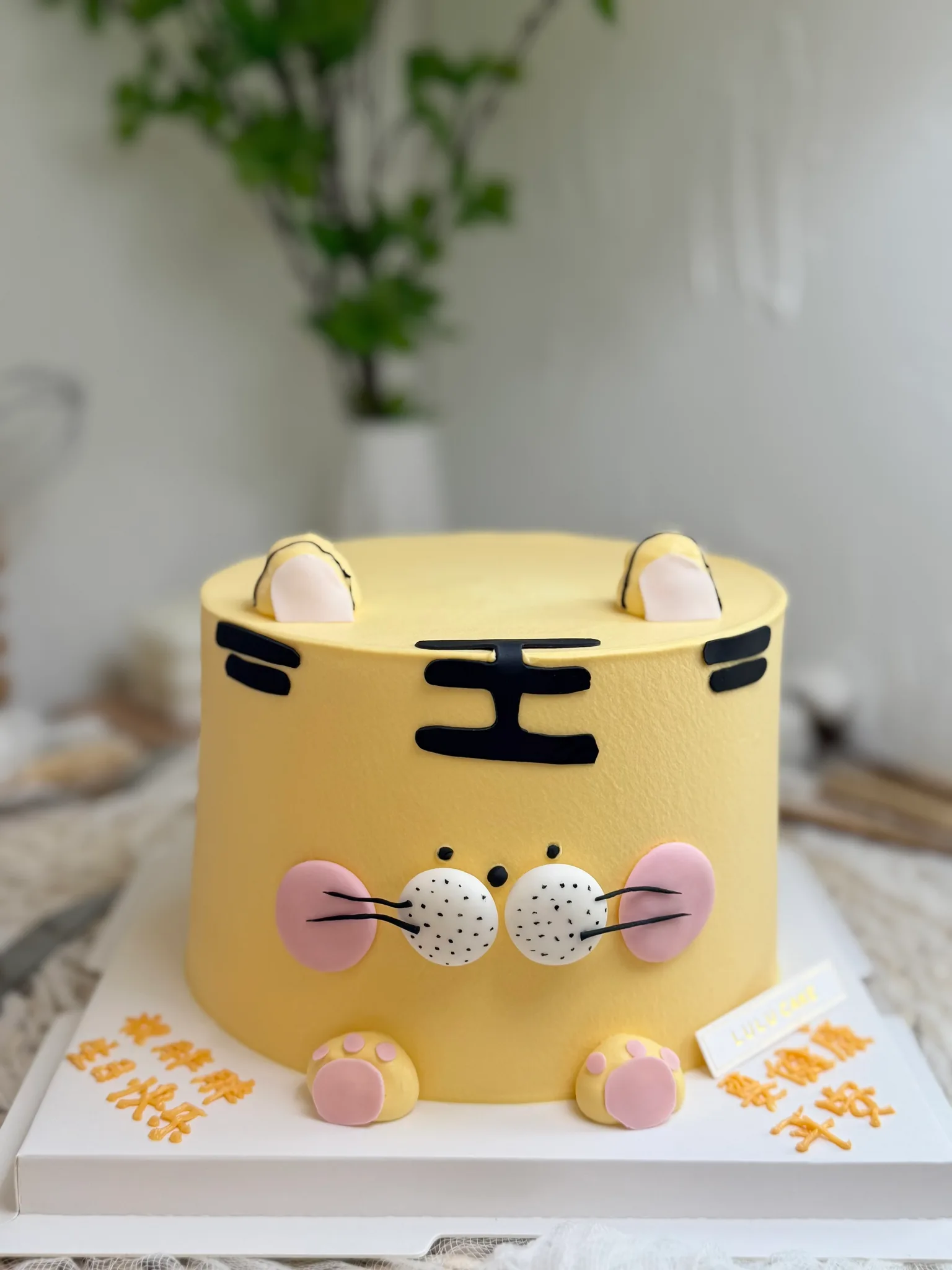 Cake product photo 6695c518